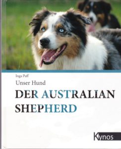 Australian-Shepherd